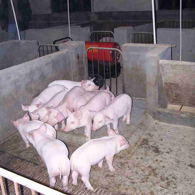 豬舍育雛加熱 永備熱風(fēng)機(jī) DH50燃油熱風(fēng)機(jī) 